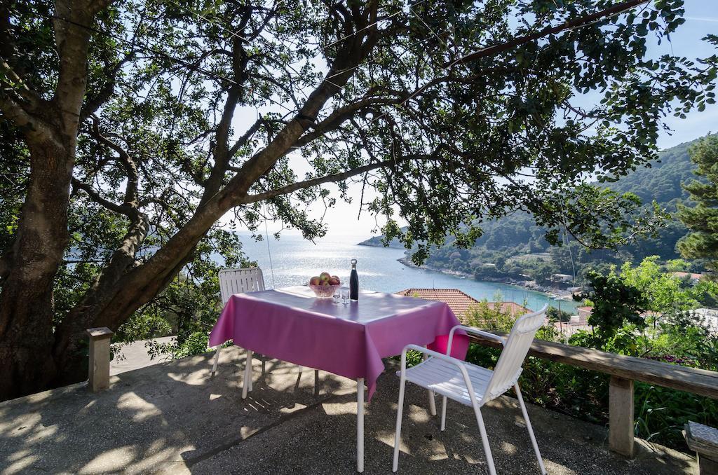 Guest House Kralj Saplunara Εξωτερικό φωτογραφία