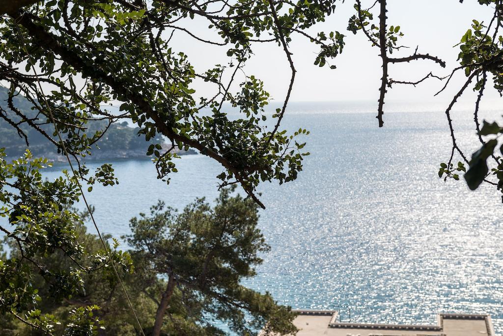 Guest House Kralj Saplunara Εξωτερικό φωτογραφία