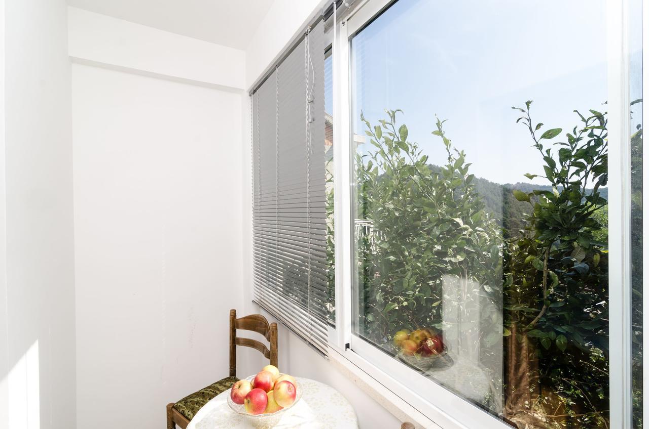 Guest House Kralj Saplunara Εξωτερικό φωτογραφία