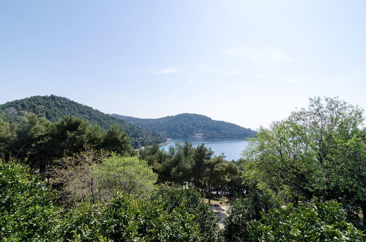 Guest House Kralj Saplunara Εξωτερικό φωτογραφία
