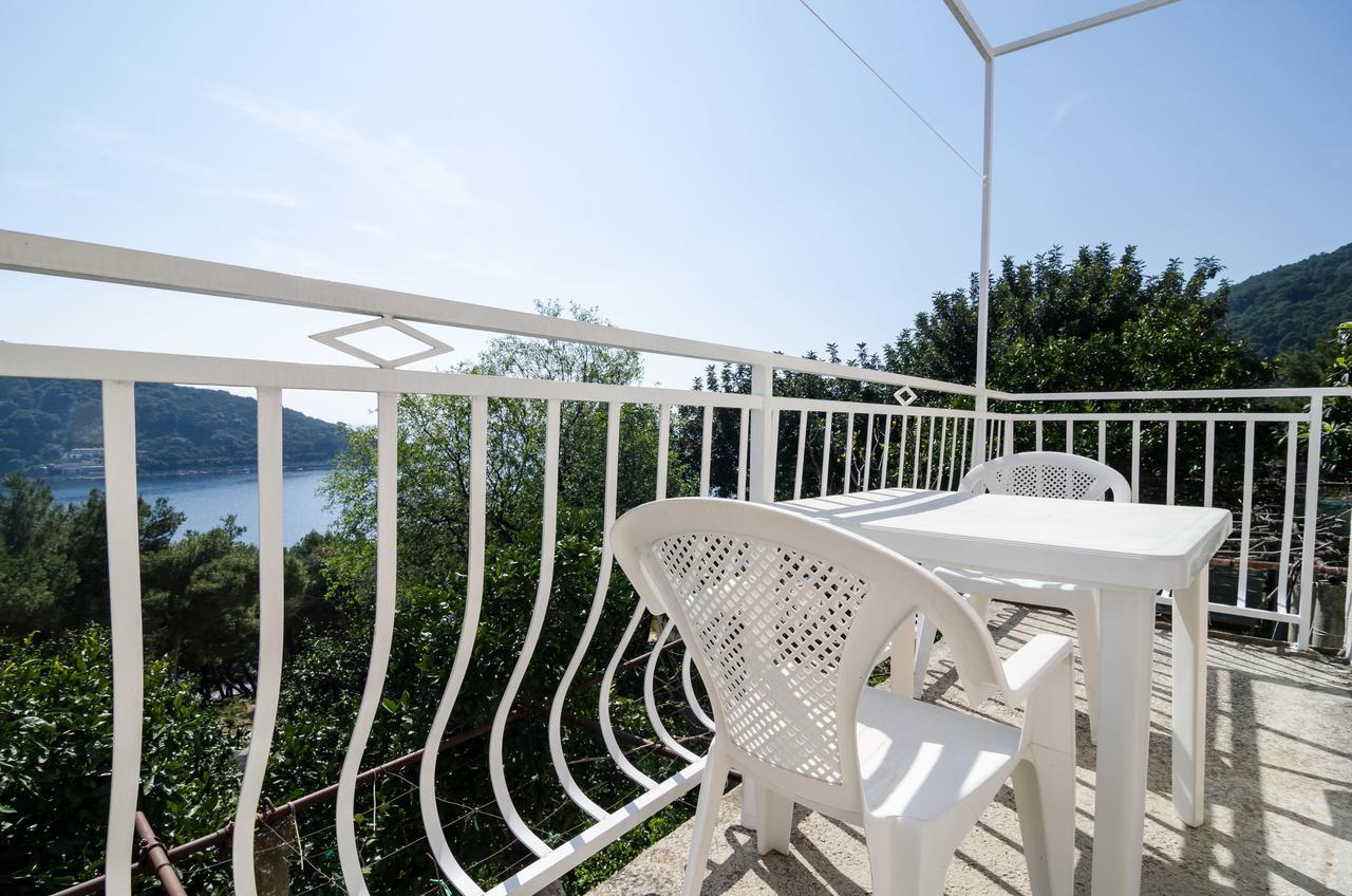 Guest House Kralj Saplunara Εξωτερικό φωτογραφία